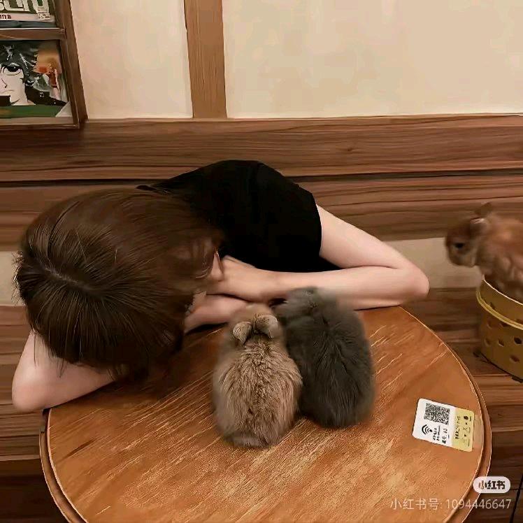 我想你了