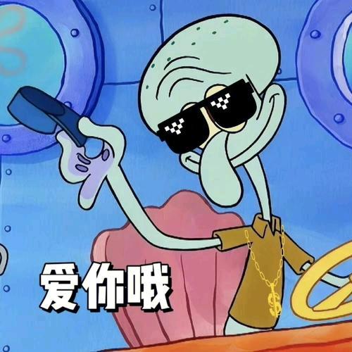 一只小蔡叽👊