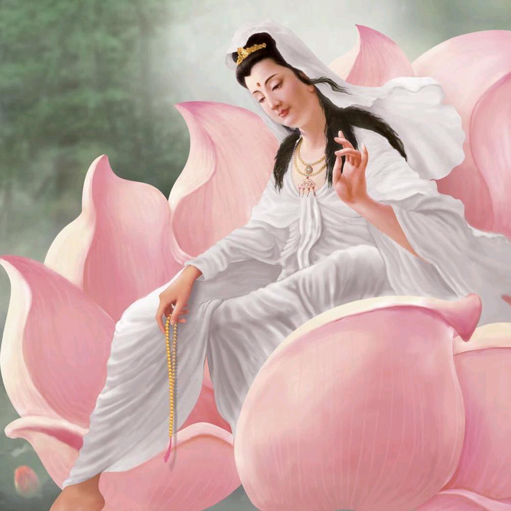 心净若莲
