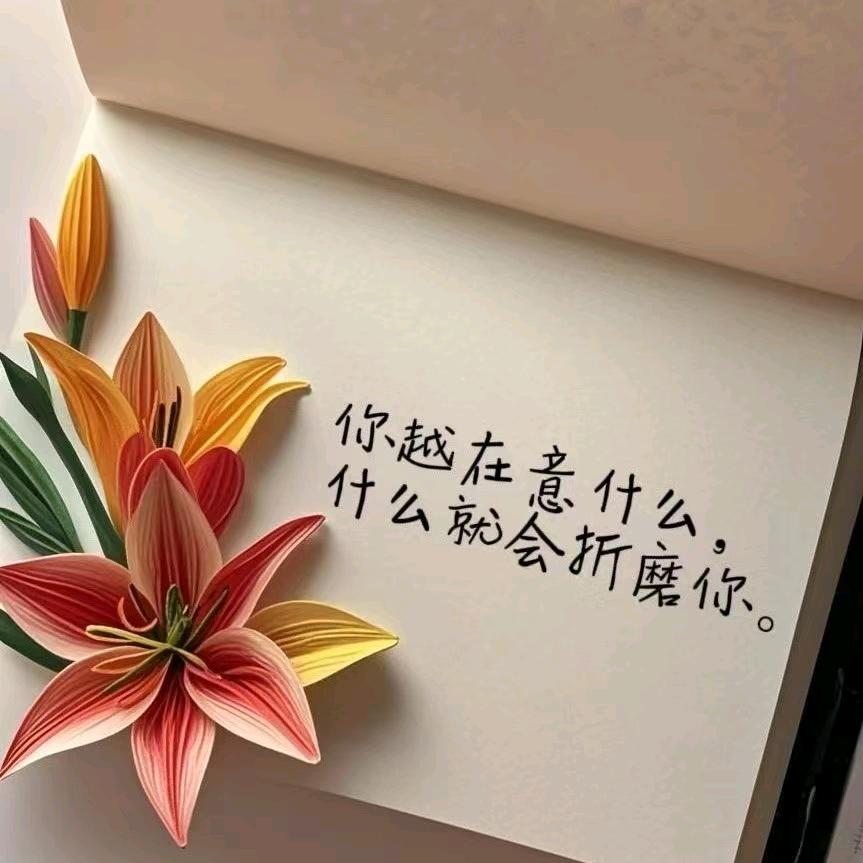 小白兔日常