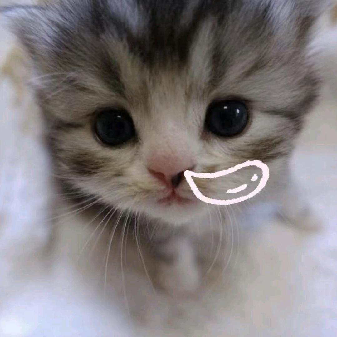 惠.
