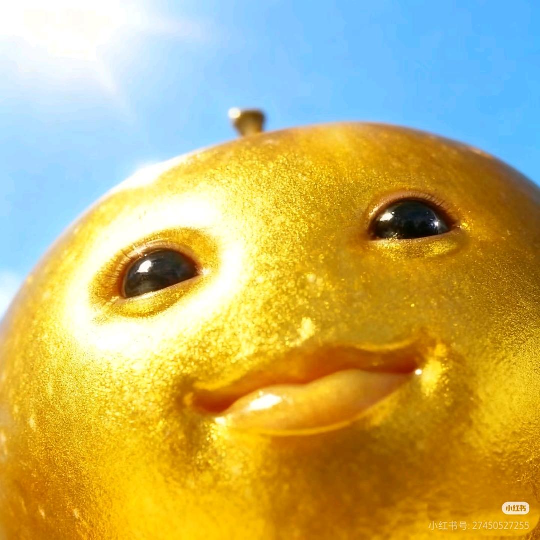 露天拉屎带汤不擦腚