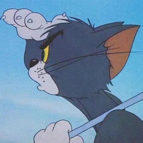 猫柒