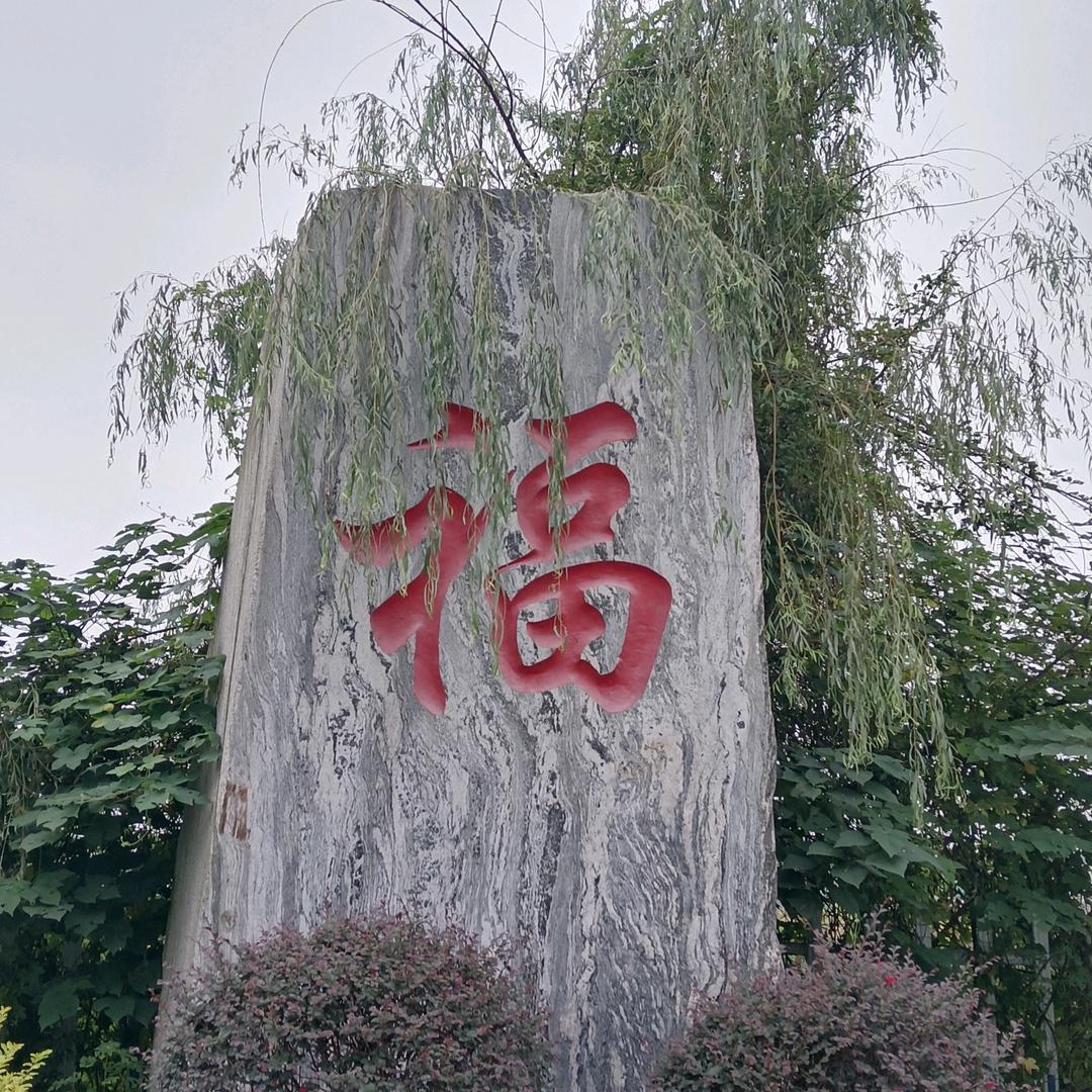 小虎。