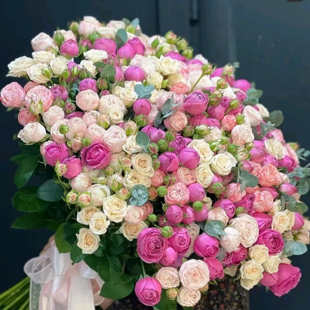 🍓停留的温情🍒