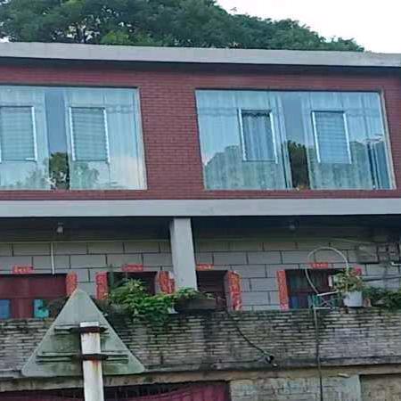 贵州苗族中草药