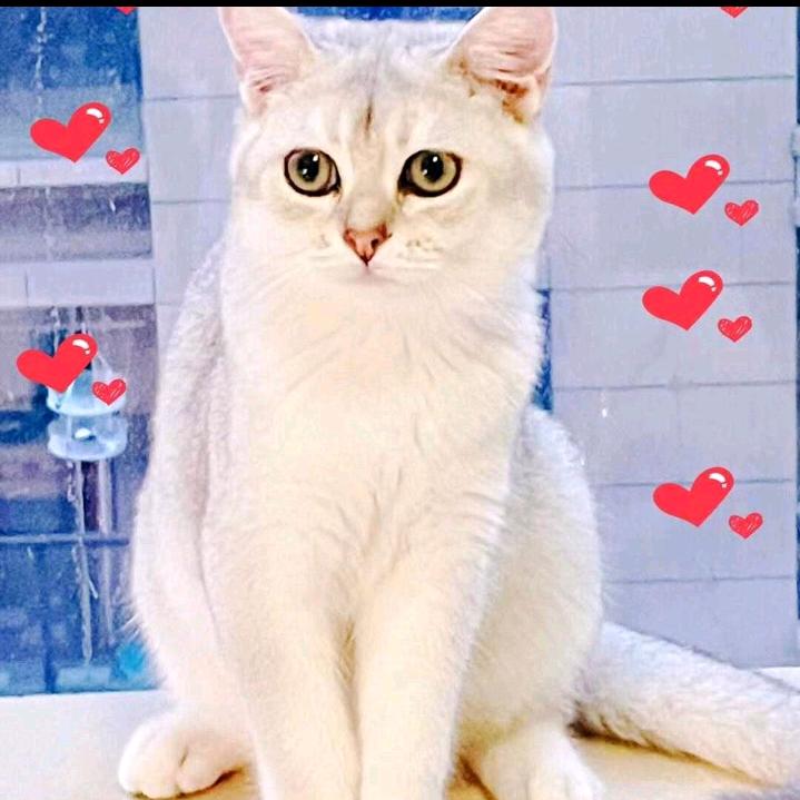 笑口常开🤗