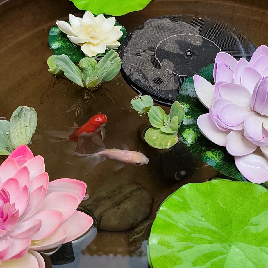 云水禅心