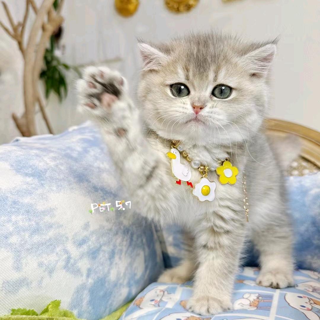 🍓一路向北