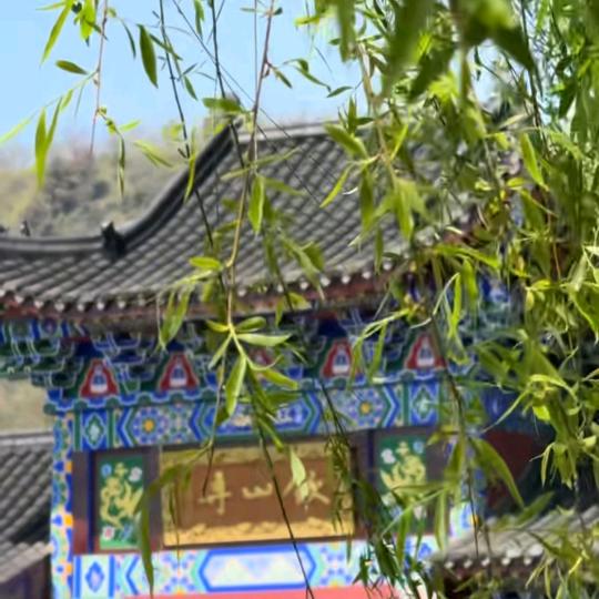 ☞铁公鸡 ☜ 一毛不拔^O^