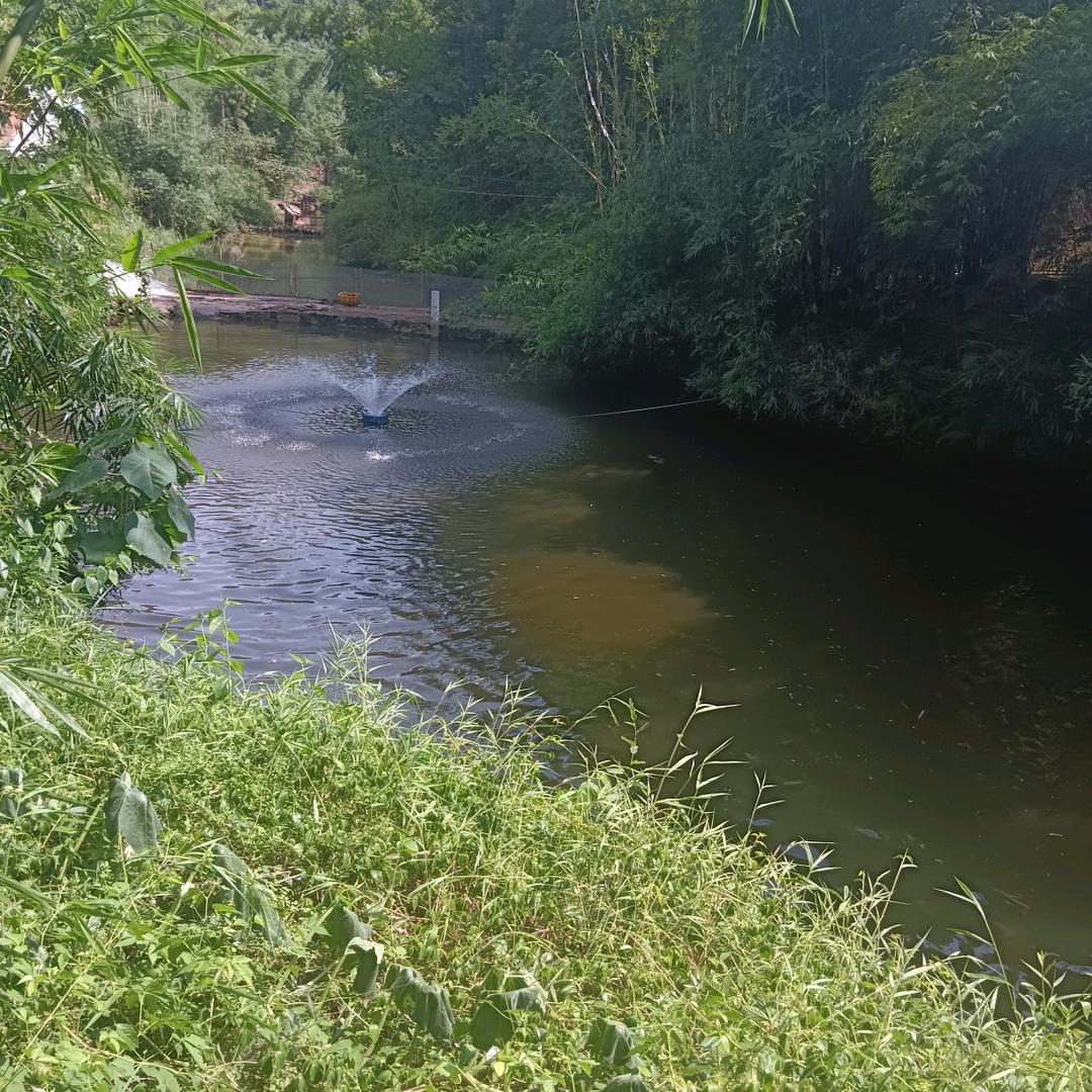 @酒酒