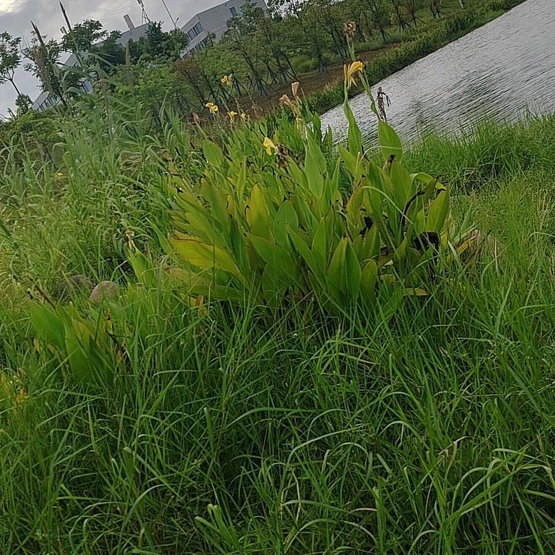 二姐。