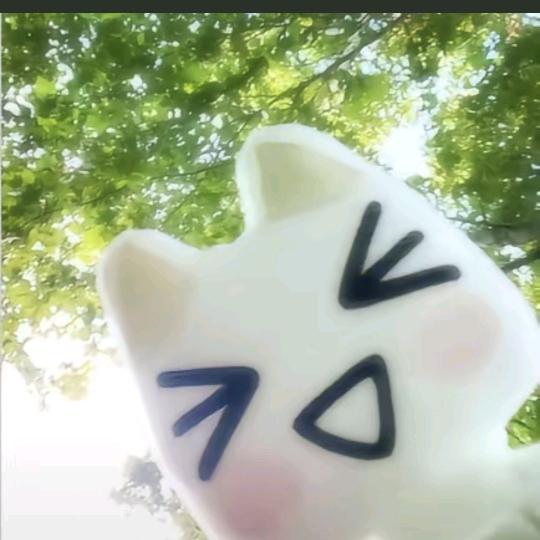 🌟头像