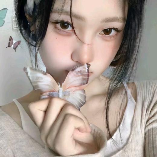 茉莉雨