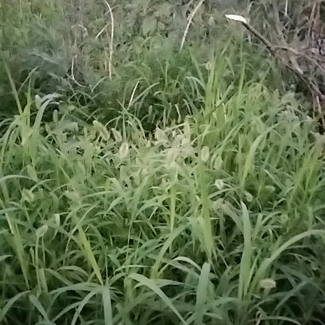 你真挺哇塞🤩