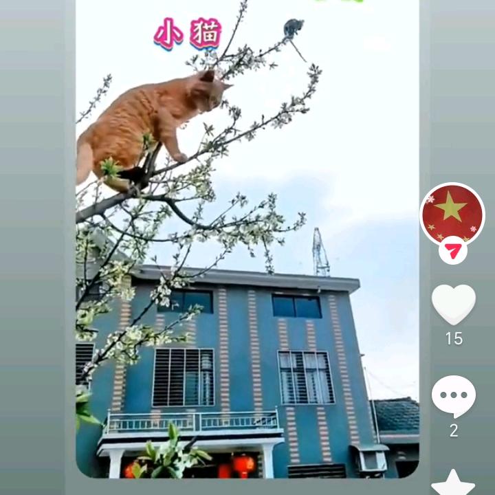 独行者