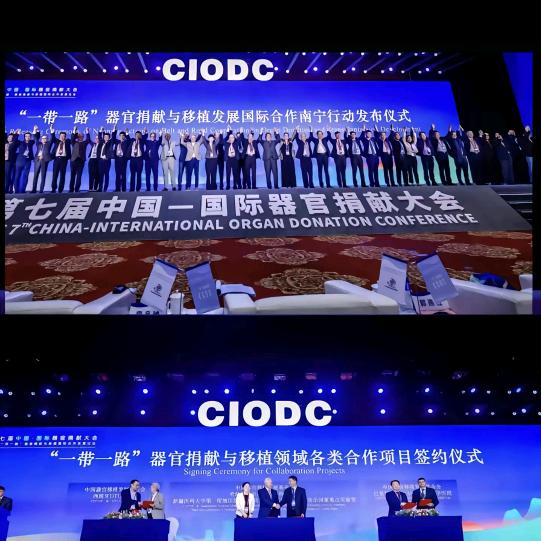 取悦自信是谣棍