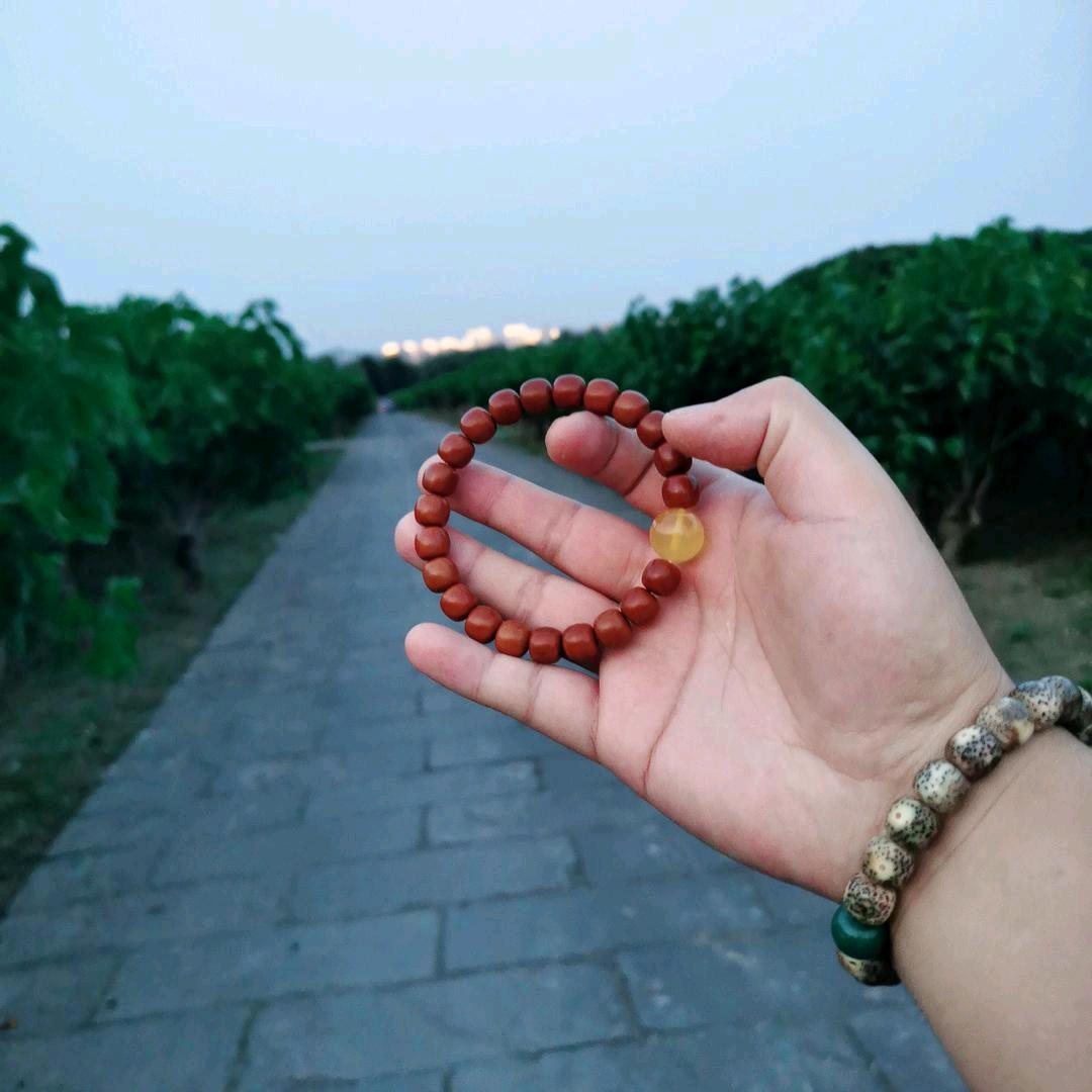 南充房产直播间