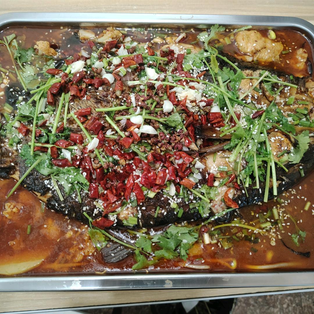 老默，来条鱼