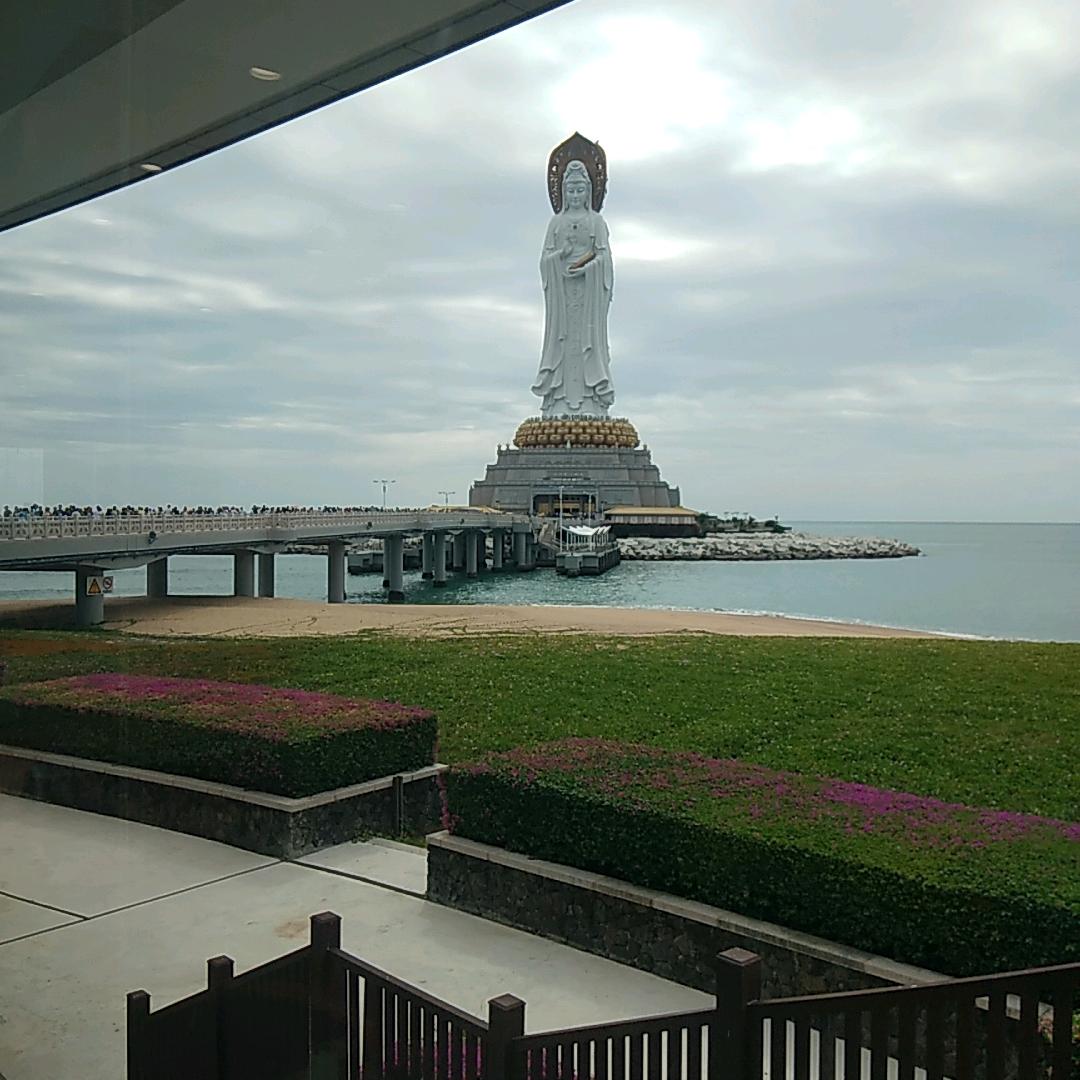 淡定哥