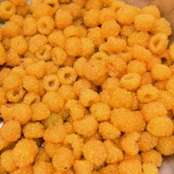 花菜姐妹🌸🌸