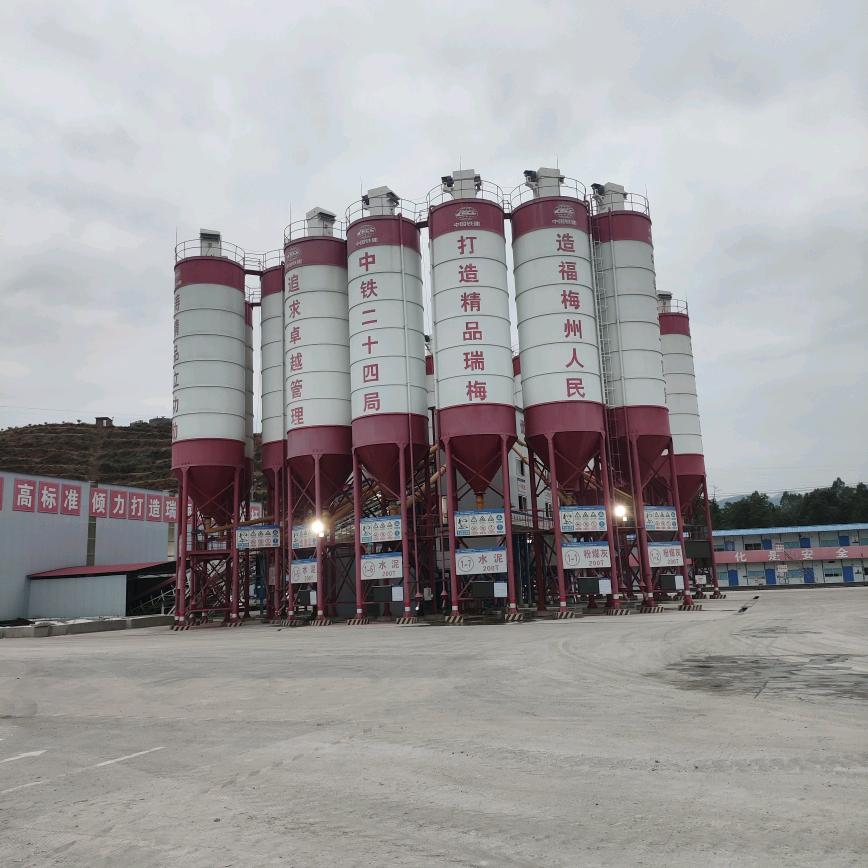 我姓杨但不张扬