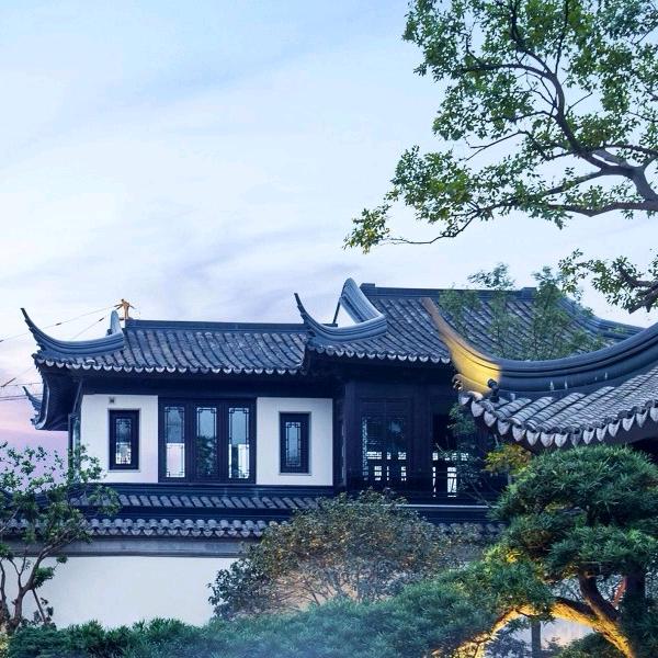 恩典阿米头像
