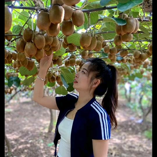 梦媚鲜果（眉县猕猴桃）