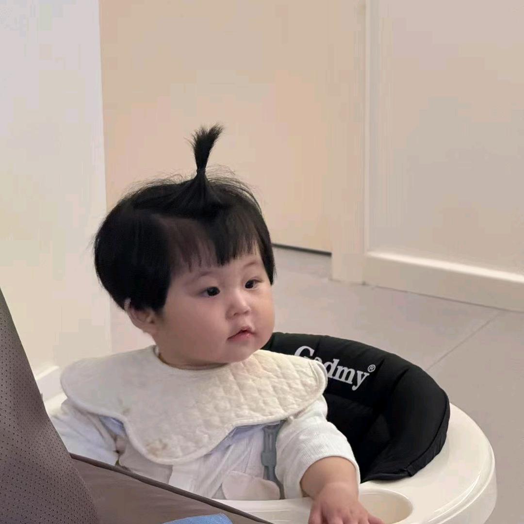 我家种海带