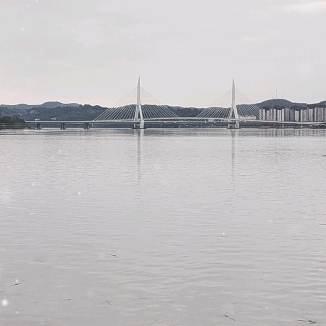 为情所困