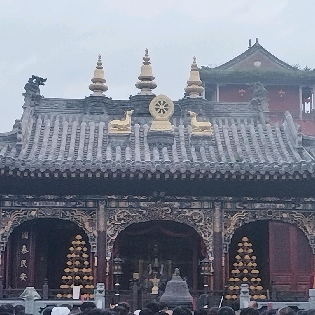 司令的秘书