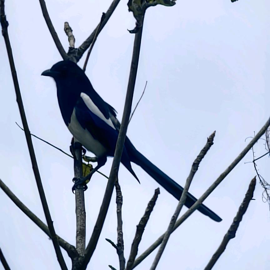 跌跌撞撞奔向你