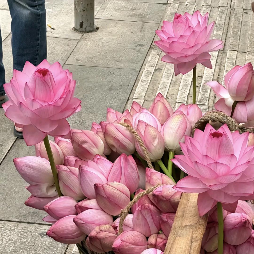杜兴堂
