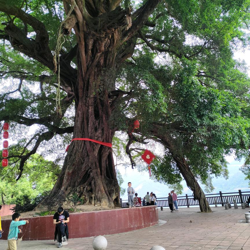福泽祥恩