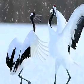 遇见你，都是我们的缘分