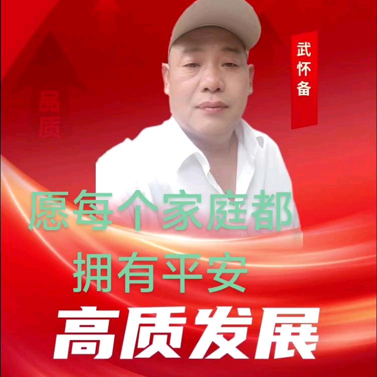 平安武怀备