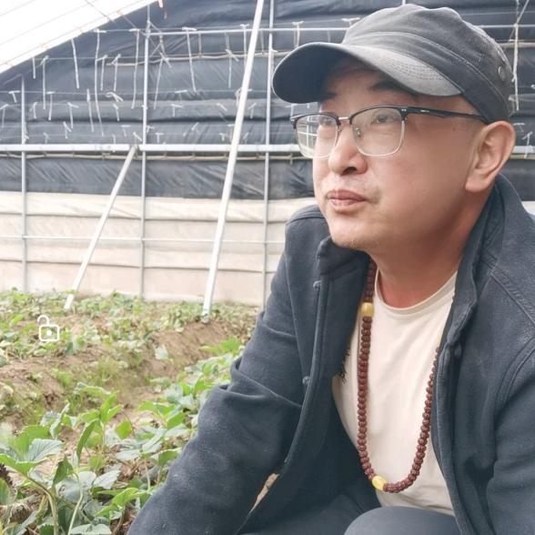 乐都王十三