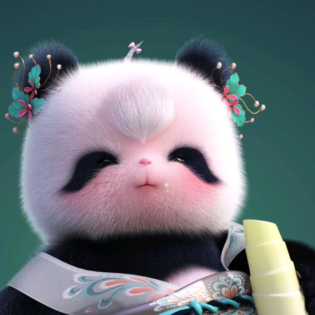 自家先生
