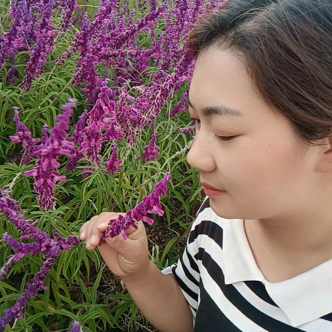 四川小菲菲