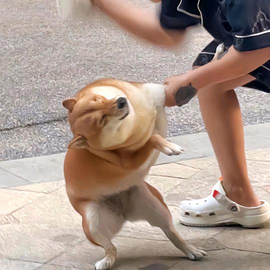 小嘴儿抹了蜜队长
