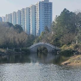老 三