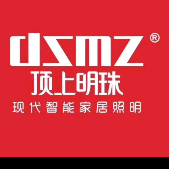 顶上明珠照明冯冯