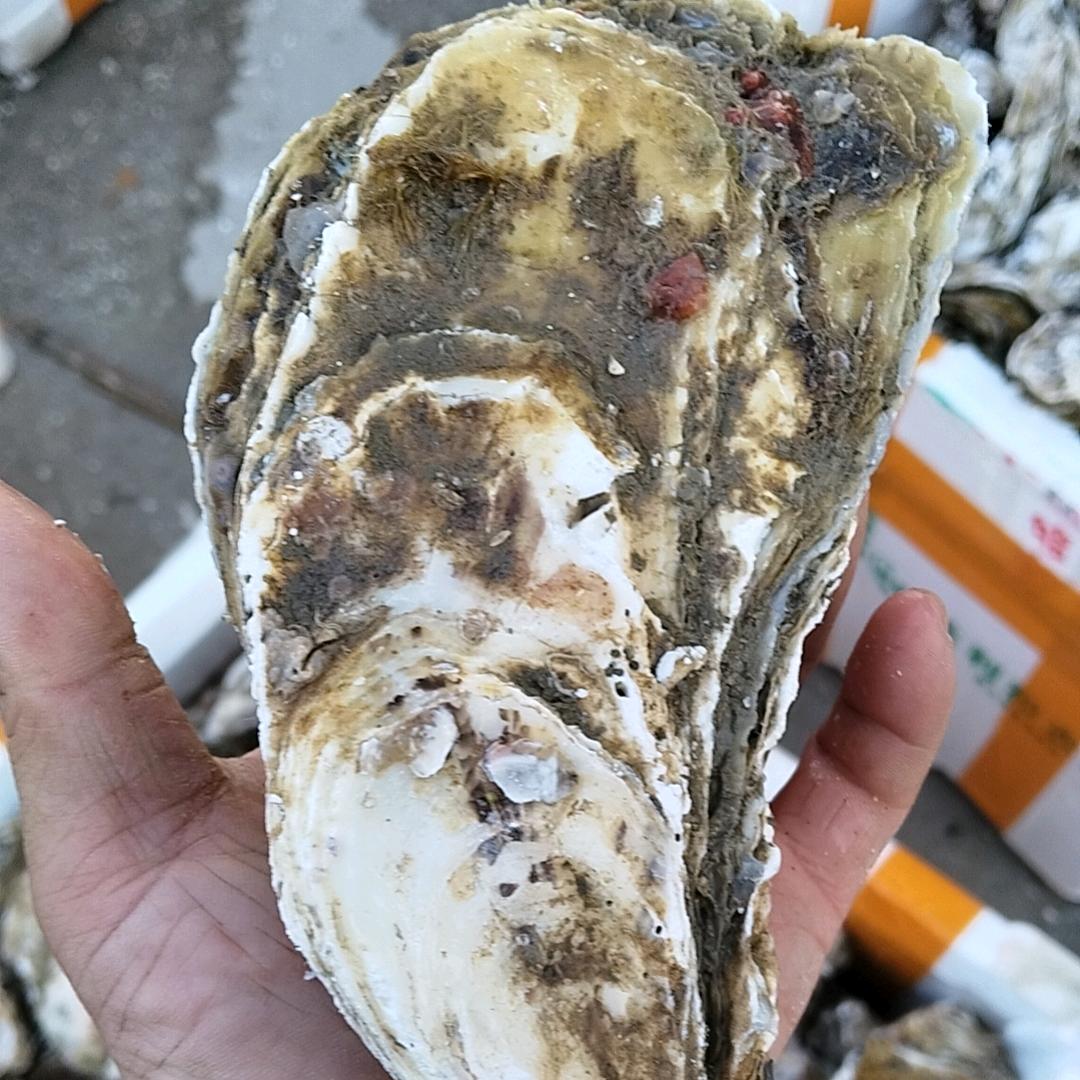 小胖