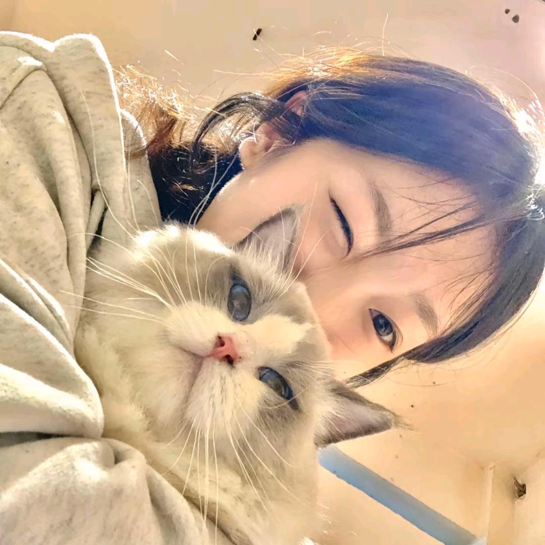 节假日