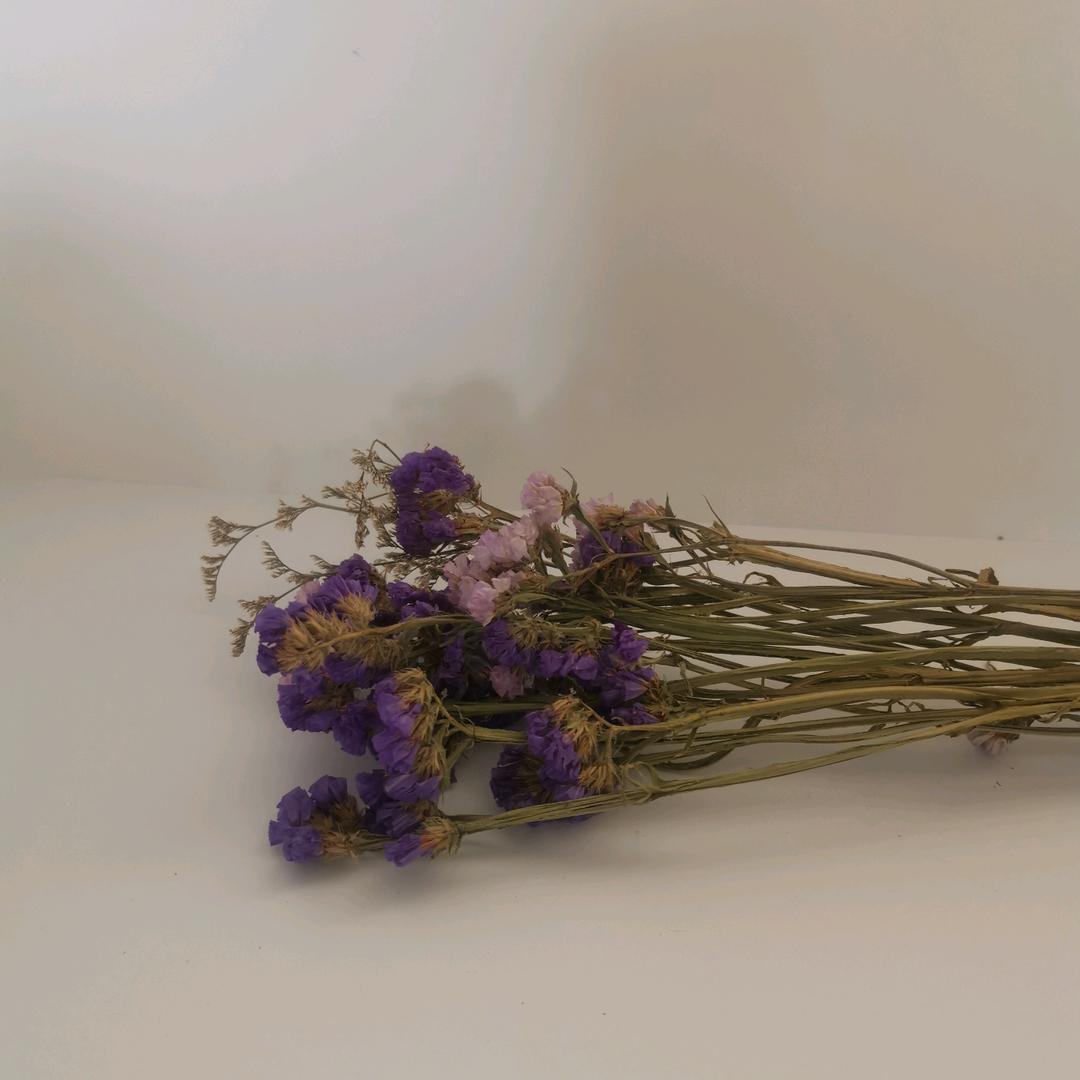 慧慧姐推荐