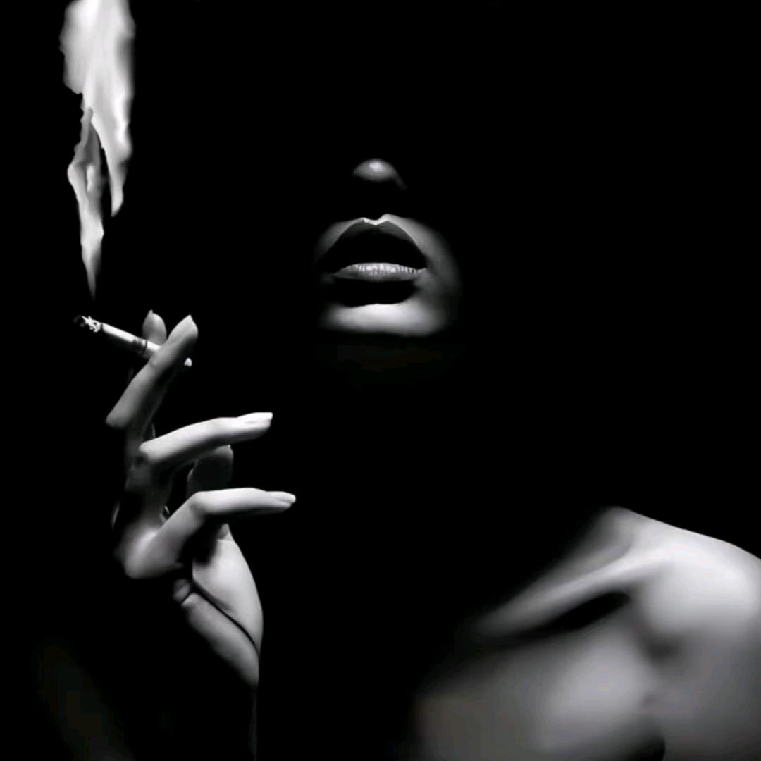 ە      Toxic、茴忆