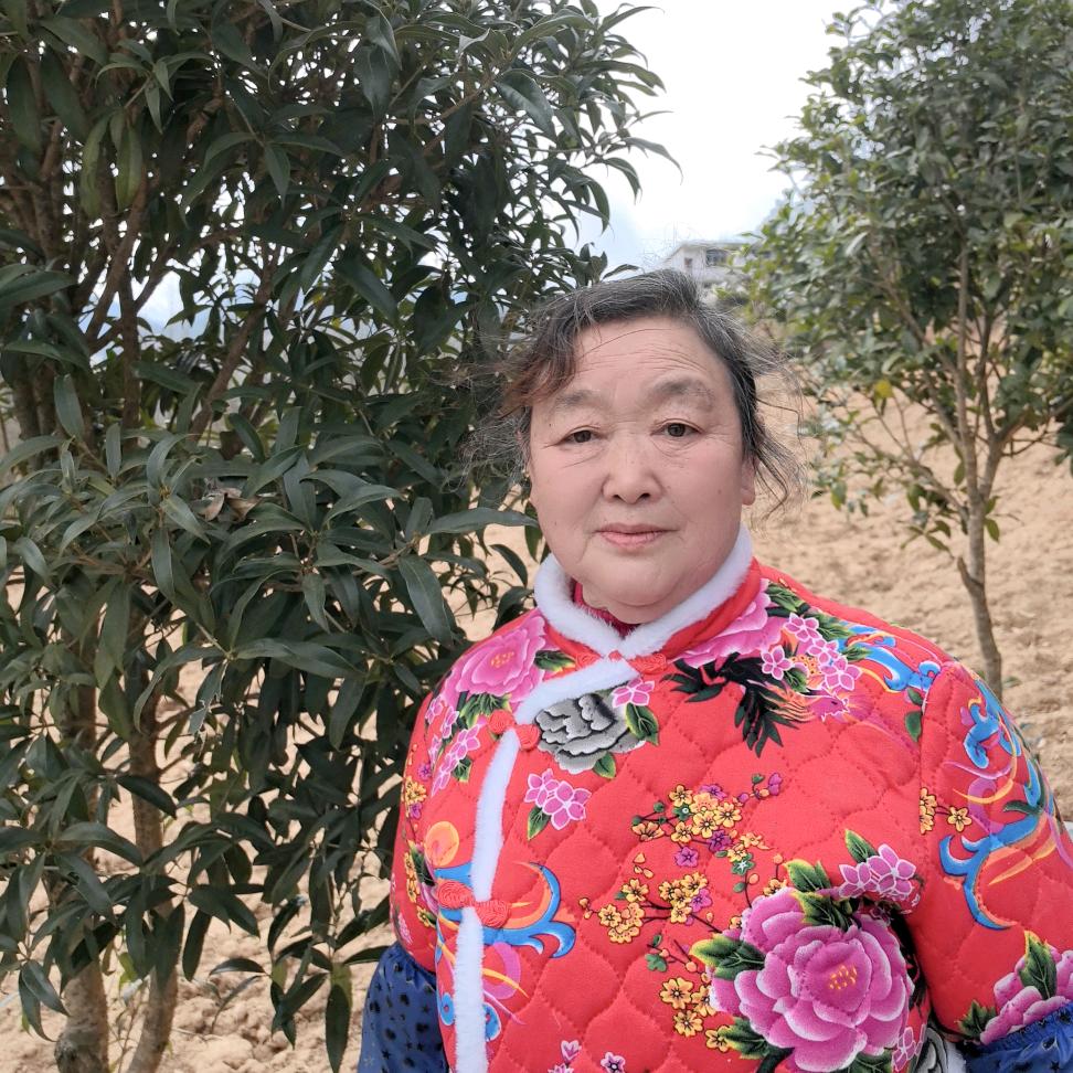 黄姐（下午1～2点开播）