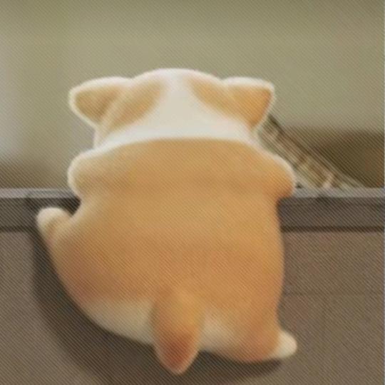 非布司她🐶