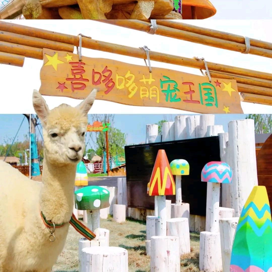 动物主题乐园设计/施工/运营-匠志