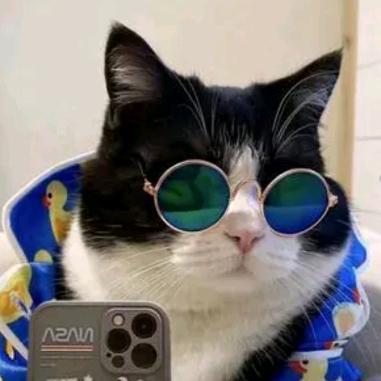 沙野！（国服第一团队招主播）